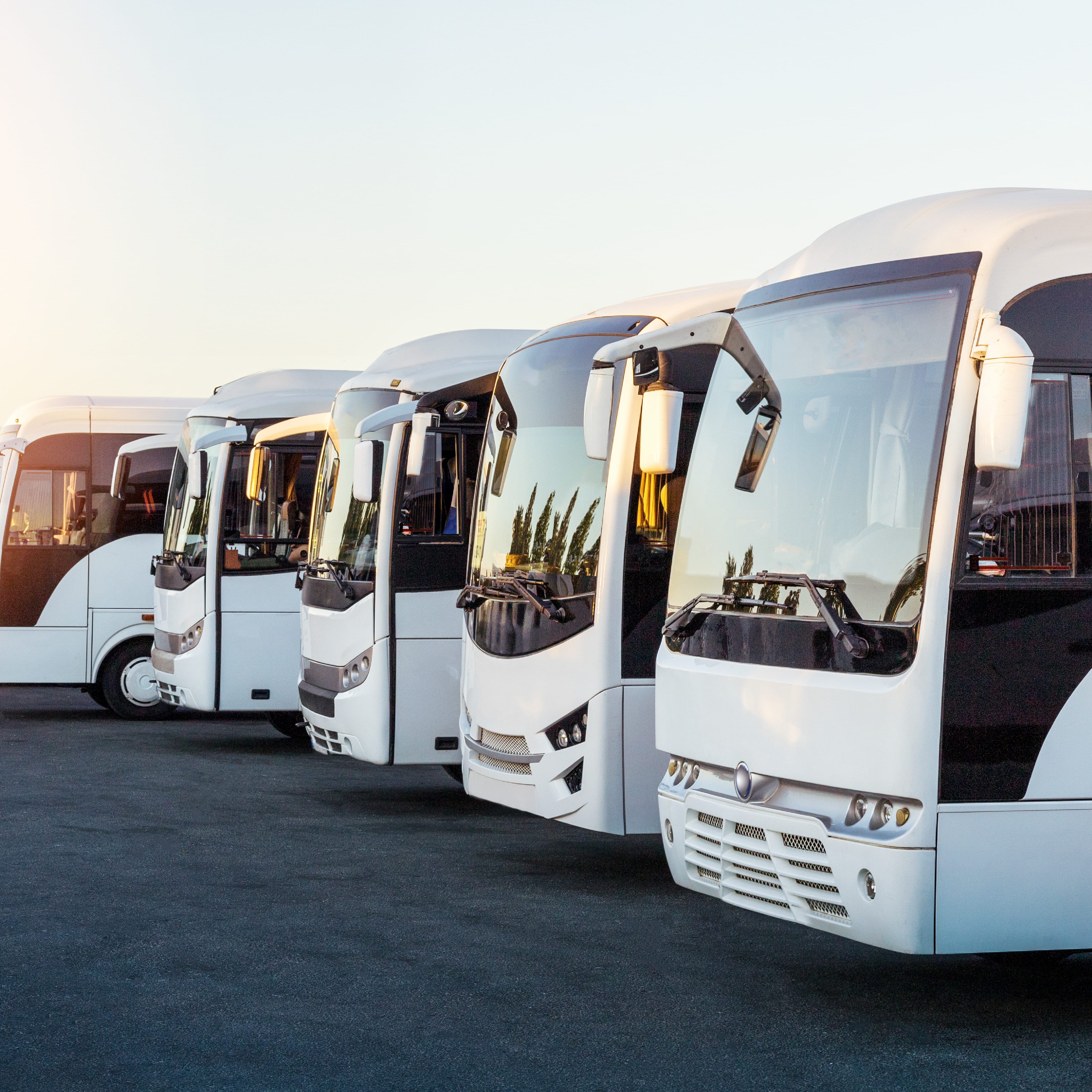 Primera Ruta Rosa en el Caribe: Un Paso Hacia la Igualdad en el Transporte Público