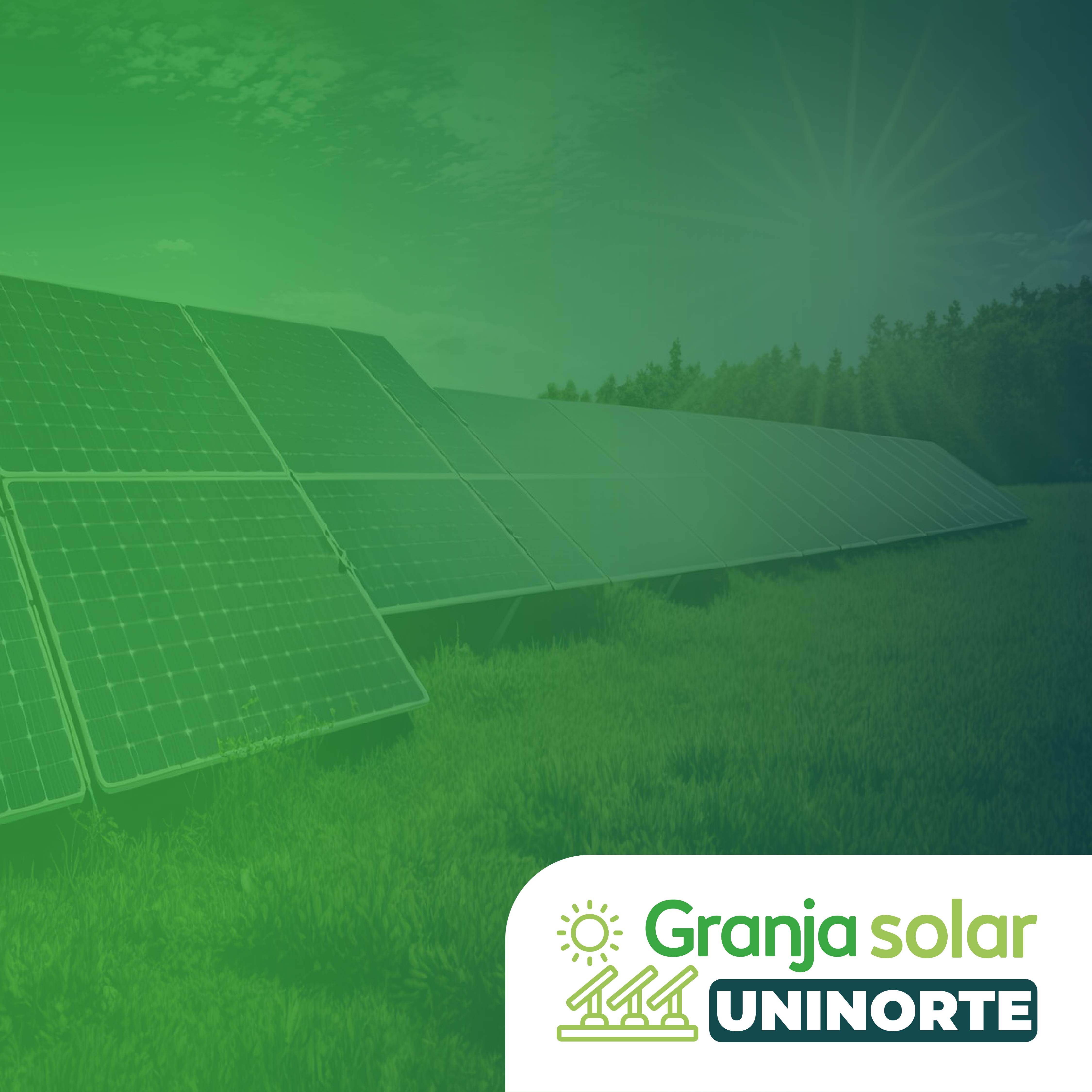 Promigas y Uninorte fortalecen su alianza para acelerar la transición energética con la nueva Granja Solar Universitaria