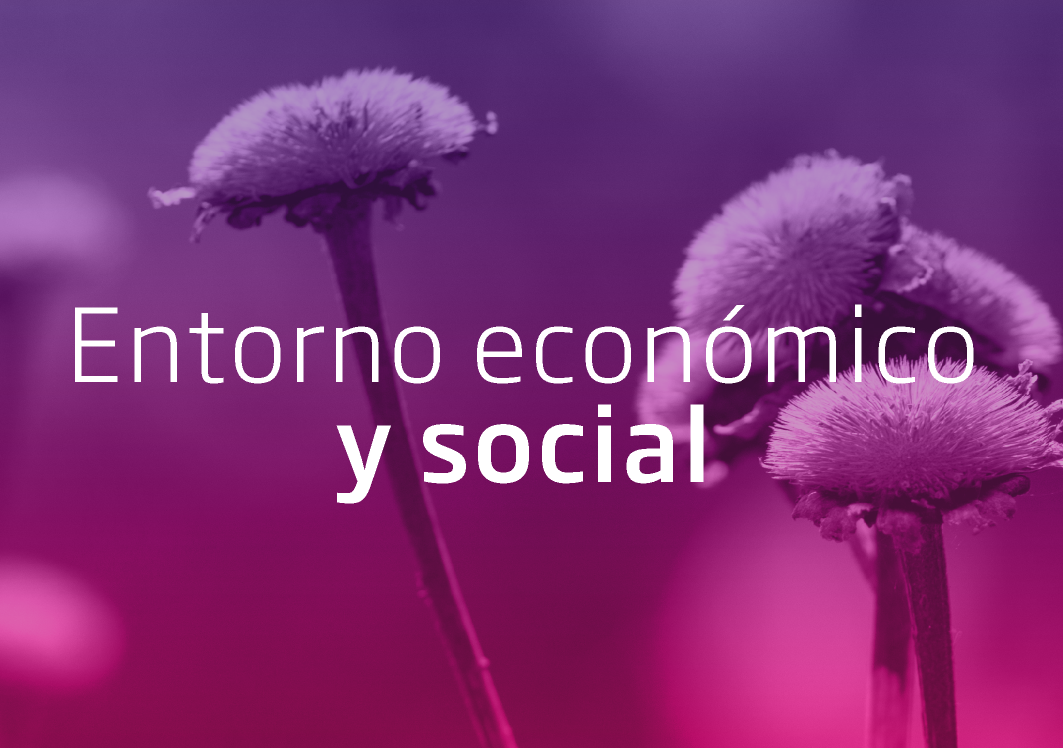 Entorno económico y social